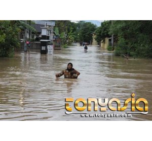 Saat Banjir melanda Warga kebun pala selalu mengungsi I Sabung Ayam I Judi Sabung Ayam