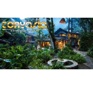 Hotel Di Tengah Hutan | Judi Online Indonesia