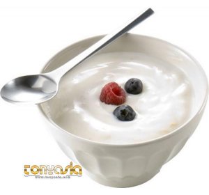 Manfaat Yoghurt | Togel Indonesia | Togel Singapore