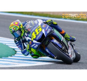 Tes Hari Pertama Cukup Positif Untuk Rossi | Judi Sabung Ayam | Sabung Ayam